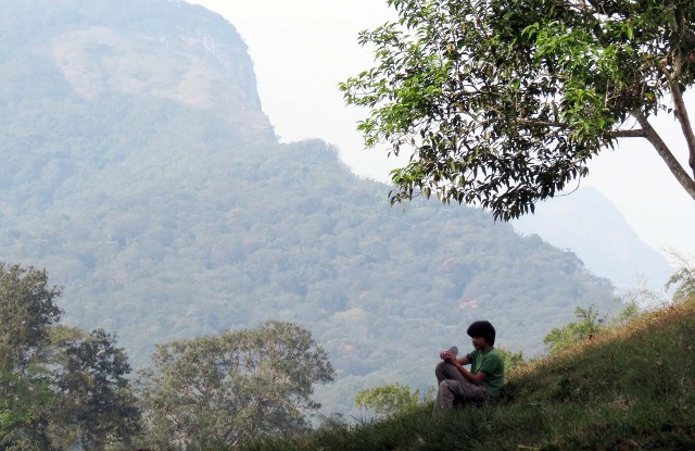 Top Slip Information center - Picture of Topslip Tiger Forest